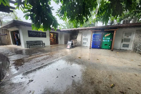 Property Maintenance